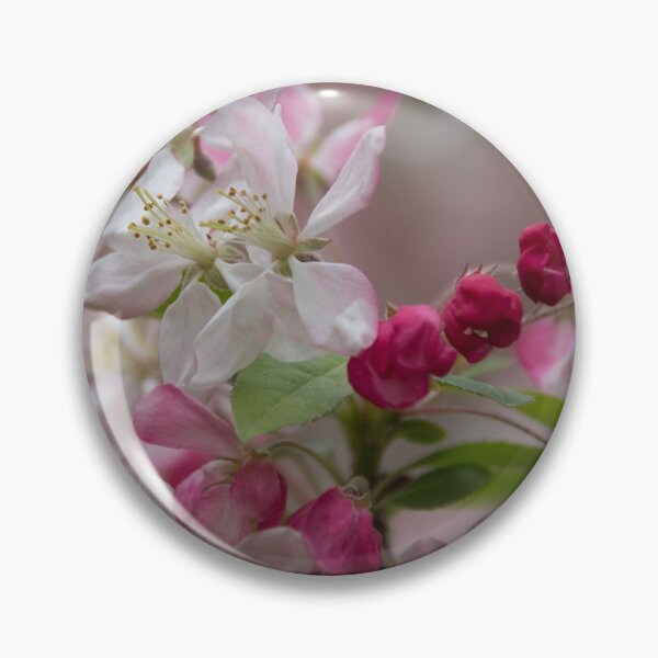 Item preview, Spring pastels designed and sold by Elizabeth Dale.