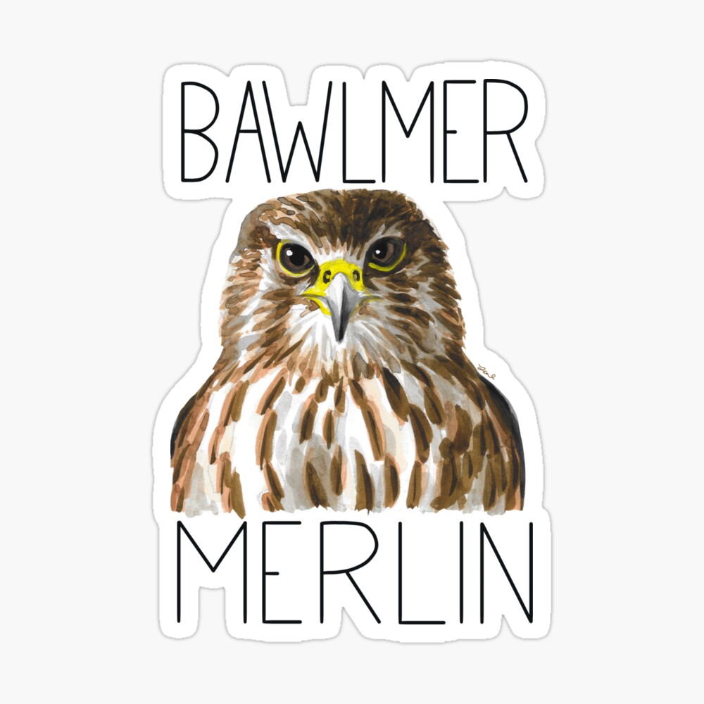 Balwmer Merlin | Cap