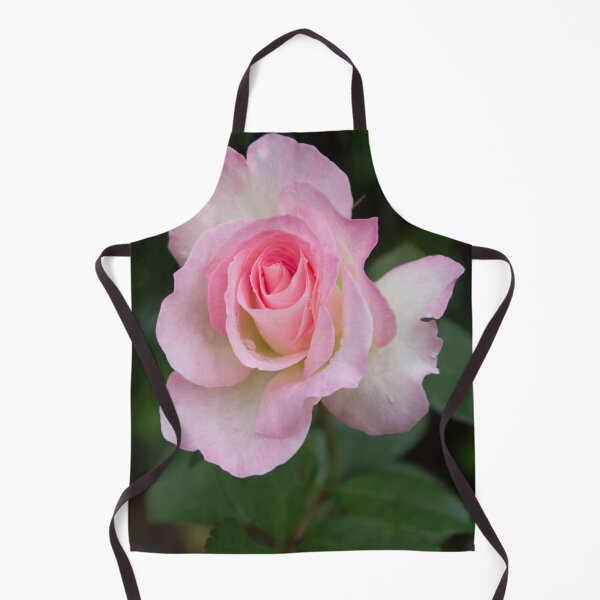 Item preview, Such beauty designed and sold by Elizabeth Dale.