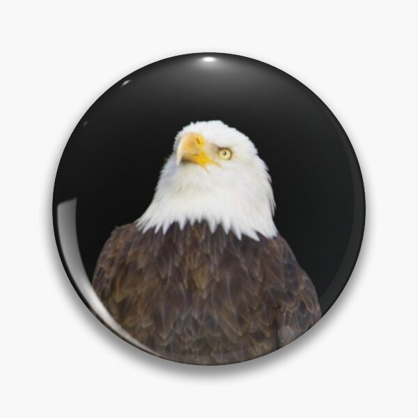 Item preview, The Look Of Eagles designed and sold by WildestArt.