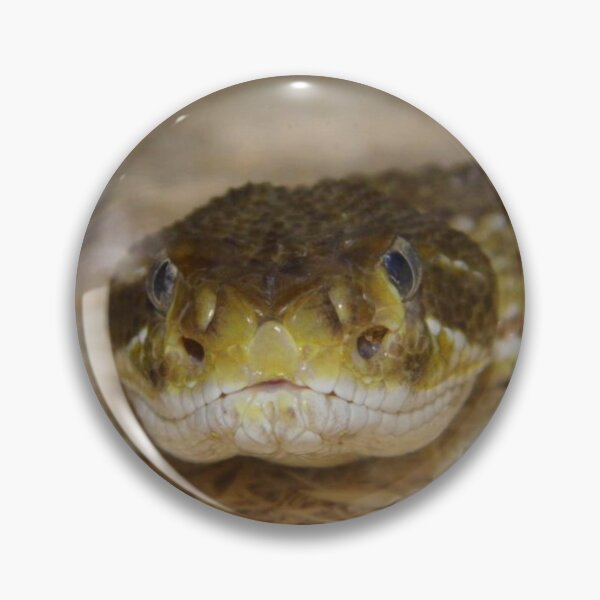 Item preview, Green Rattler designed and sold by WildestArt.