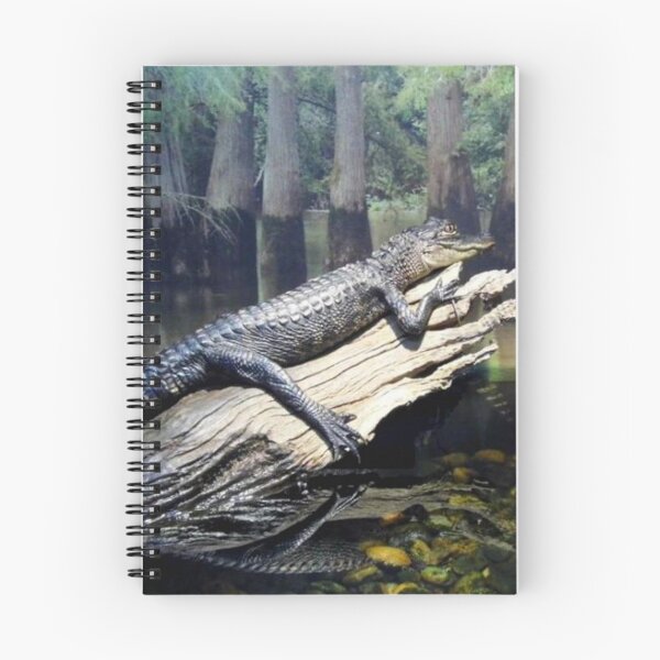 Item preview, 'Gator At Delta Rivers designed and sold by WildestArt.