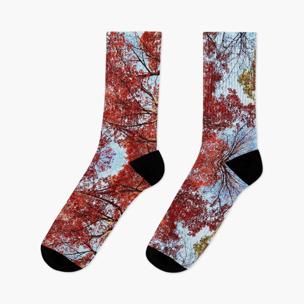 Item preview, Red Canopy designed and sold by Amy Sundby.