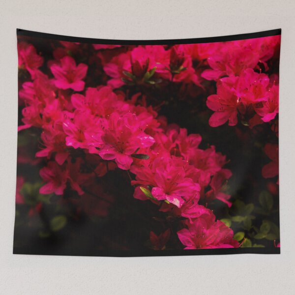 Aperçu de l'œuvre Pink Flower 27 créée et vendue par rebeccaholbrook.
