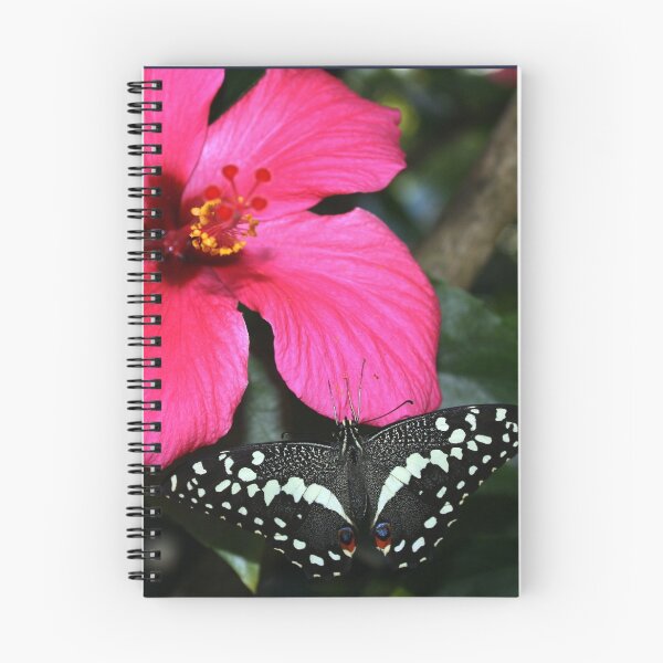 Item preview, Double Beauty designed and sold by Katagram.