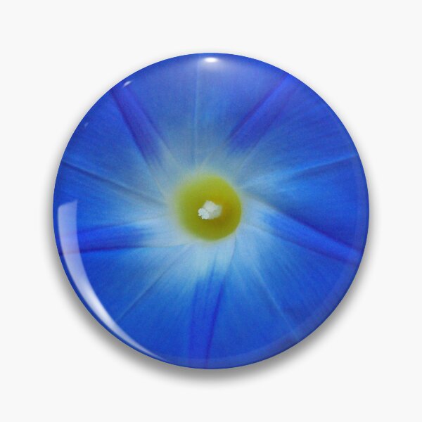 Item preview, Blue! Really Heavenly Blue, Morning Glory designed and sold by rvjames.