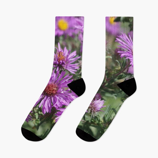 Item preview, Autumn Amethyst - New England Aster flowers designed and sold by rvjames.
