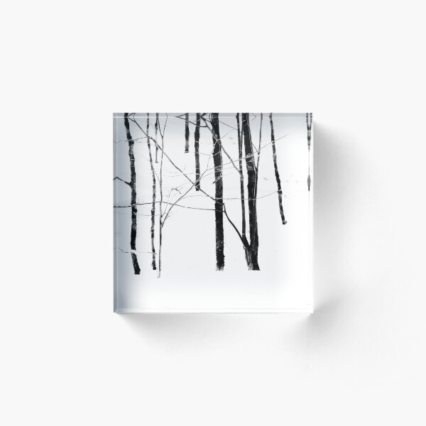 Snow branches Acrylic Block