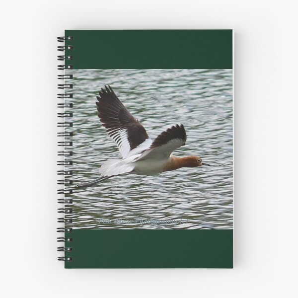 Item preview, Grace of The Avocet designed and sold by Shilohlin Pfeiffer.