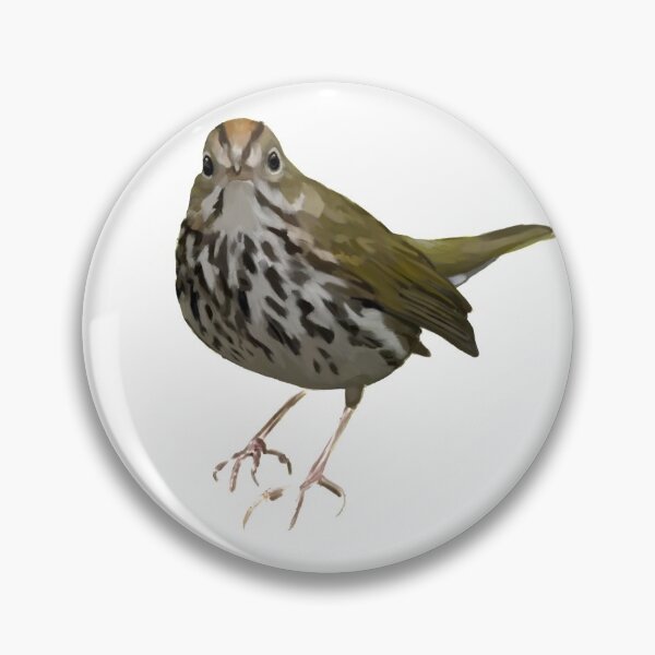 Aperçu de l'œuvre Ovenbird Art d'oiseau créée et vendue par Jennifer Ackerman.
