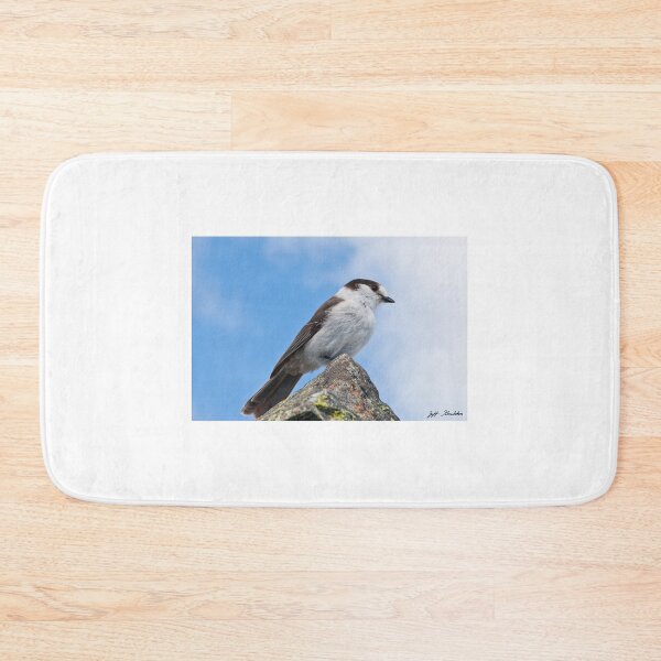 Item preview, Gray Jay With Blue Sky Background designed and sold by Jeff Goulden Photography.