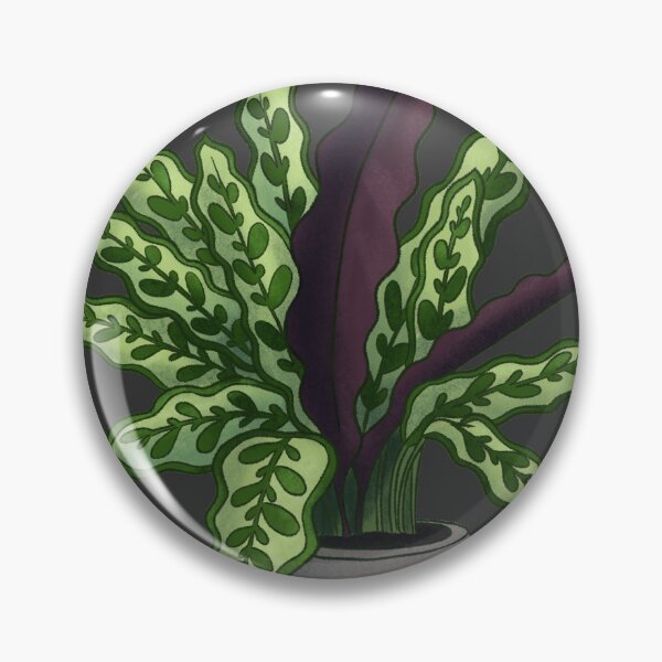 Item preview, Calathea lancifolia designed and sold by gemmaelaineart.