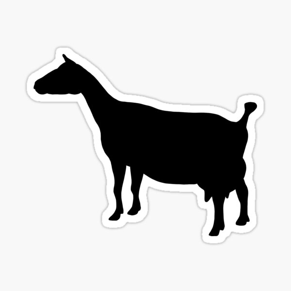 Nigerian Dwarf Goat Sticker For Sale By Shiflettphoto Redbubble