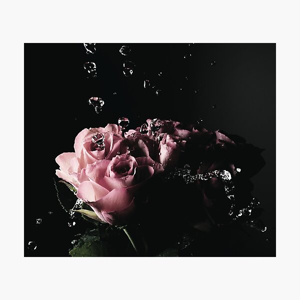 Wet Roses Photographic Print
