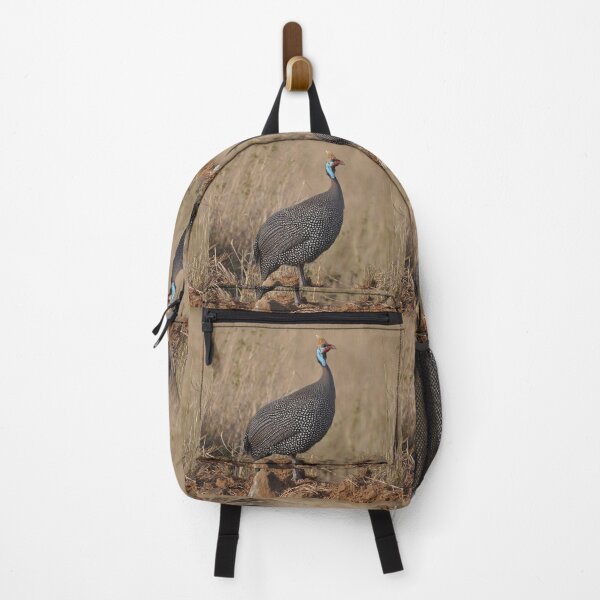 Item preview, Helmeted guineafowl Numida meleagris bird Africa designed and sold by Schoensl.