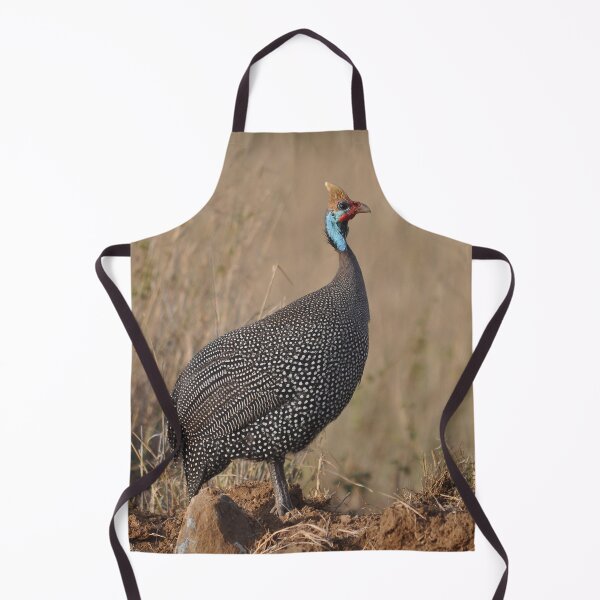 Item preview, Helmeted guineafowl Numida meleagris bird Africa designed and sold by Schoensl.