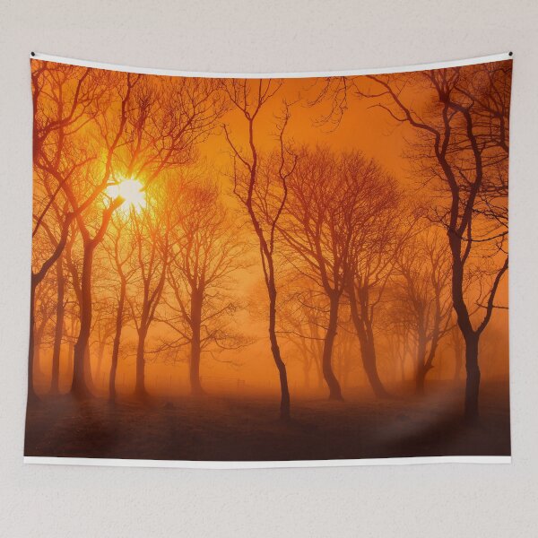 Item preview, Woodland sunrise with orange sky designed and sold by GeoffBeattie.
