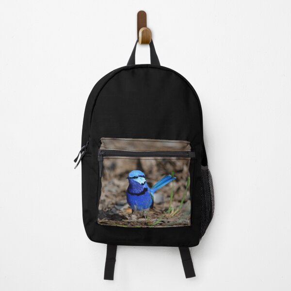 Item preview, splendid fairywren Malurus splendens Australia bird lila blue designed and sold by Schoensl.