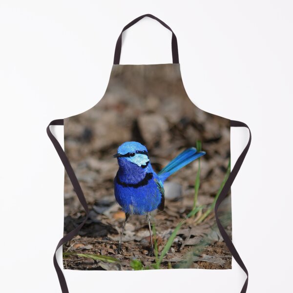 Item preview, splendid fairywren Malurus splendens Australia bird lila blue designed and sold by Schoensl.