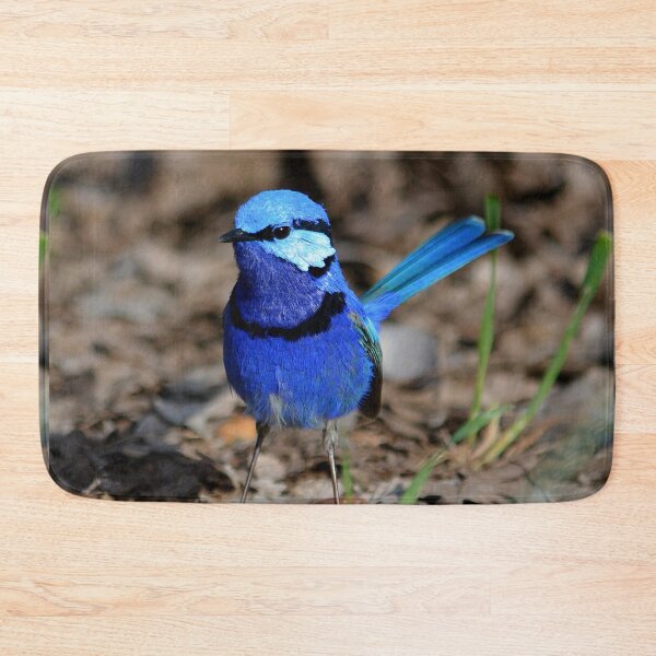 Item preview, splendid fairywren Malurus splendens Australia bird lila blue designed and sold by Schoensl.