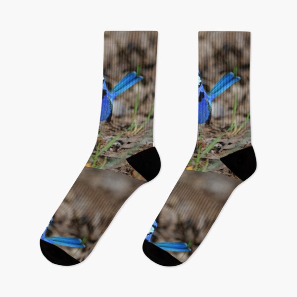 Item preview, splendid fairywren Malurus splendens Australia bird lila blue designed and sold by Schoensl.