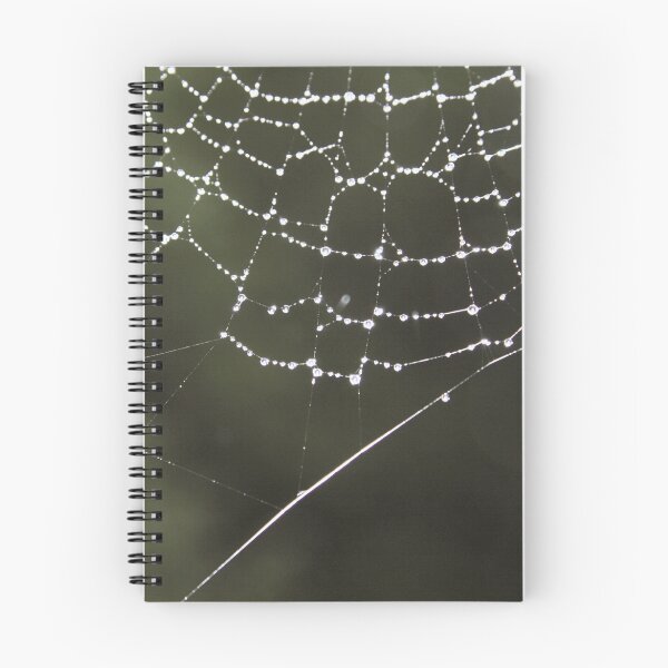 Item preview, Dew drops on a web (2) designed and sold by Penni.
