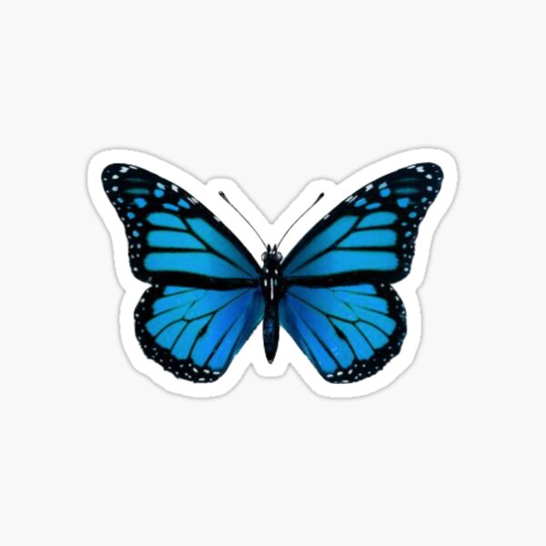 blue butterfly Sticker