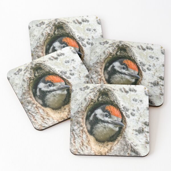 Item preview, Tiny woodpecker designed and sold by Kirsberry.