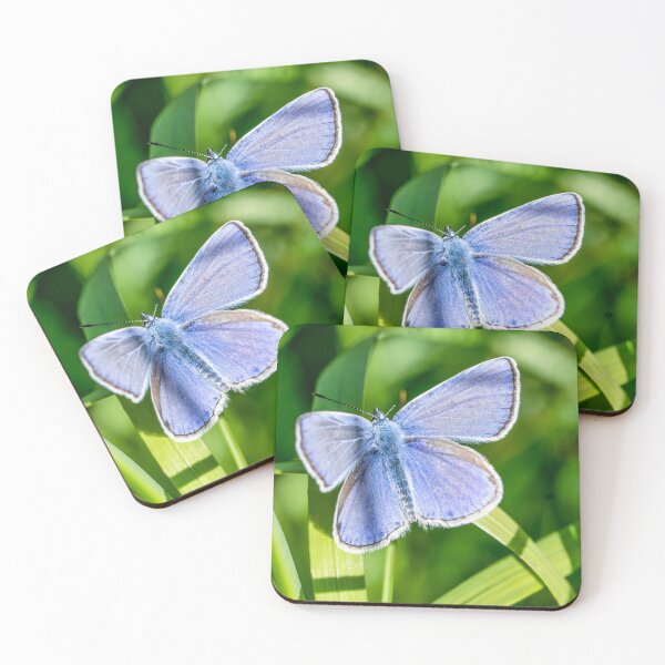 Item preview, Bluewing butterfly designed and sold by Kirsberry.