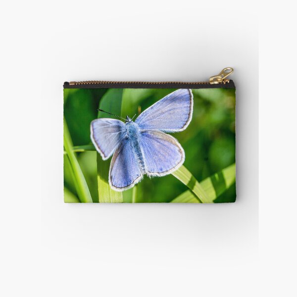 Item preview, Bluewing butterfly designed and sold by Kirsberry.