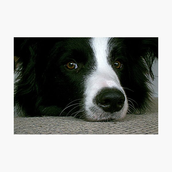Item preview, Here's looking at you looking at me.......... ! designed and sold by Roy  Massicks.