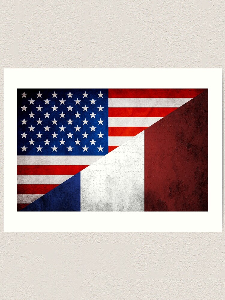 "Half French Half American Flag" Art Print for Sale by freestyleINK