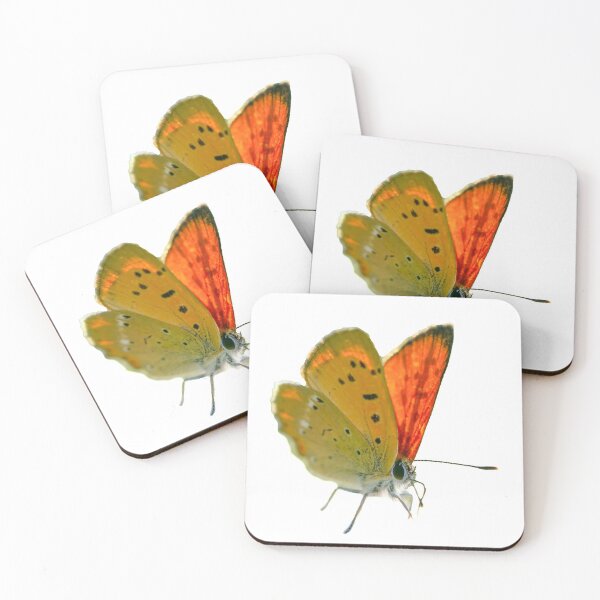 Item preview, Scarce copper designed and sold by Kirsberry.