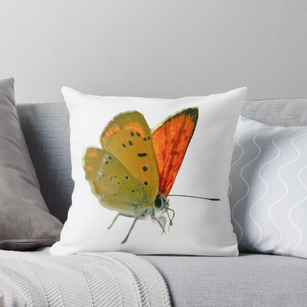 Item preview, Scarce copper designed and sold by Kirsberry.