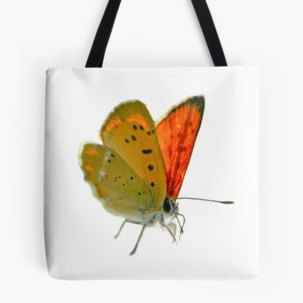 Item preview, Scarce copper designed and sold by Kirsberry.