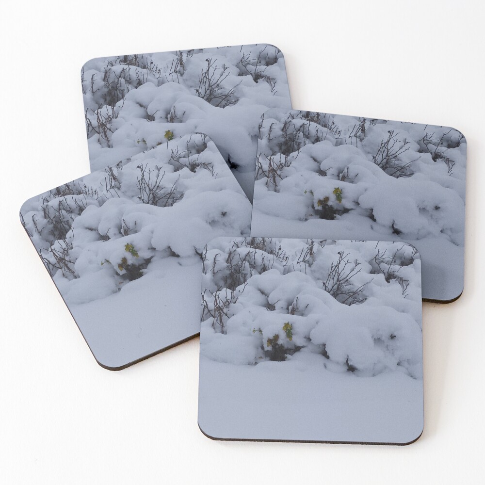 Item preview, Coasters (Set of 4) designed and sold by BVCdesigns.
