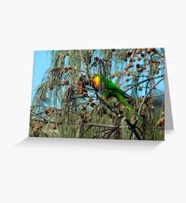 Rainbow Lorikeet Greeting Card