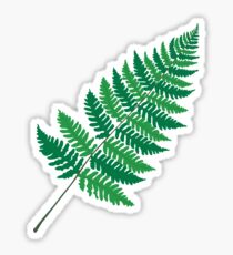 Dryopteris Farn Sticker