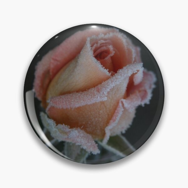 Item preview, Winter Rose! Red Rose! designed and sold by Lar888.
