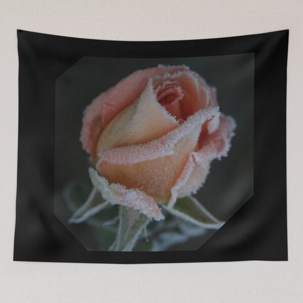 Item preview, Winter Rose! Red Rose! designed and sold by Lar888.