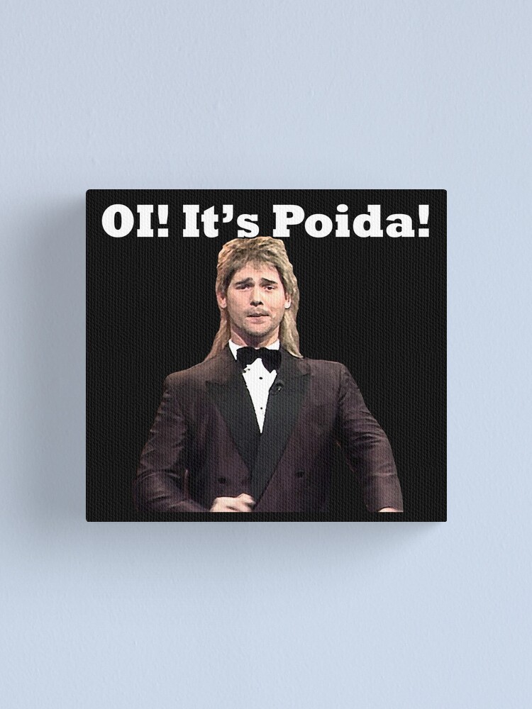 Poida Memes Infinite Loop With Array Of Objects In Args · Issue