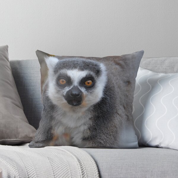 Aperçu de l'œuvre Hey Lemur! créée et vendue par ApeArt.
