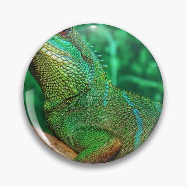 Item preview, Crested Gecko Owner Crested Gecko Pet Crested Gecko,Gifts for Gecko lovers,gecko mom,personalized gecko designed and sold by Essakhi12.