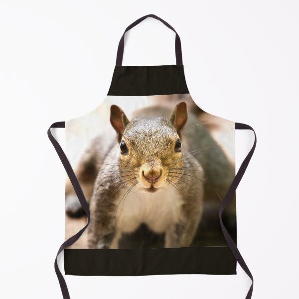Item preview, Got Any Nuts? designed and sold by Geoff Carpenter.