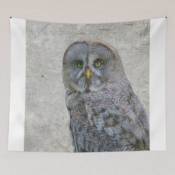 Item preview, Great Gray owl designed and sold by Photopat.