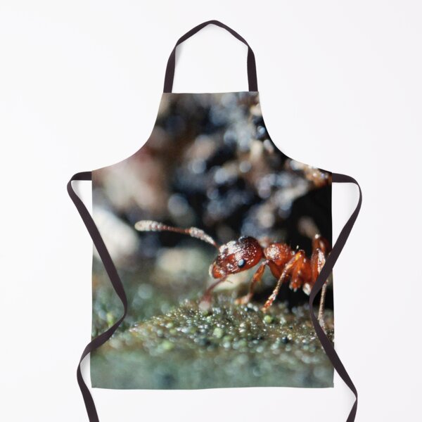 Item preview, Red ant designed and sold by CasparTheRiddle.