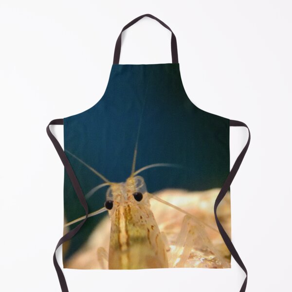 Item preview, Amano shrimp Caridina Multidentata 1 designed and sold by CasparTheRiddle.