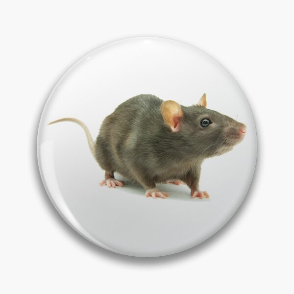 Item preview, Rat designed and sold by DoodleDashCollective.