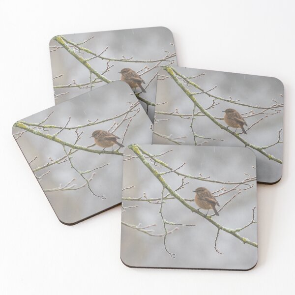 Item preview, Stonechat designed and sold by LaurenTucker.