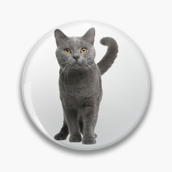 Item preview, Grey Cat designed and sold by DoodleDashCollective.